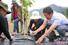 <b>西藏林芝：林巴村的致富路</b>