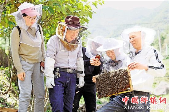 龙泉“甜蜜产业”助农增收 zjrb2018051600003v01b003.jpg