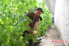 <b>乌兰浩特：菜单式扶贫 精准拔穷根</b>