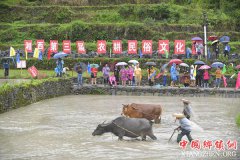 <b>湖南湘西第三届农耕民俗文化节举行</b>