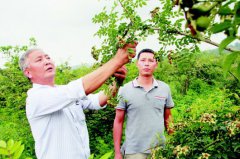 <b>22年“挑担拉犁” 初心结出“金果”</b>