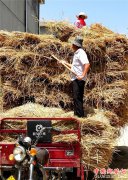 <b>山东郯城：草编行情好稻草跟着俏</b>
