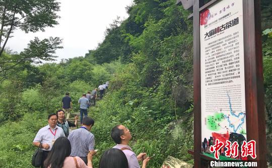 湖北宜都发现30个宜红古茶道历史遗存点