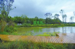 <b>成都将设100亿元基金 建设特色镇和川西林盘保护修复</b>