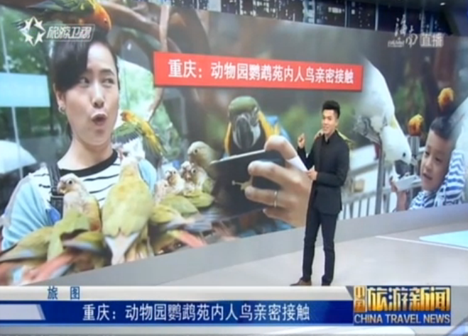 <b>重庆：动物园鹦鹉苑内人鸟亲密接触</b>