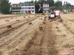 <b>安徽：怀远兰桥乡秸秆禁烧变“粉碎还田”为“打捆离田”</b>