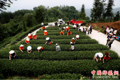 <b>拜耳助力 “精准扶贫” 践行儿童素质教育</b>