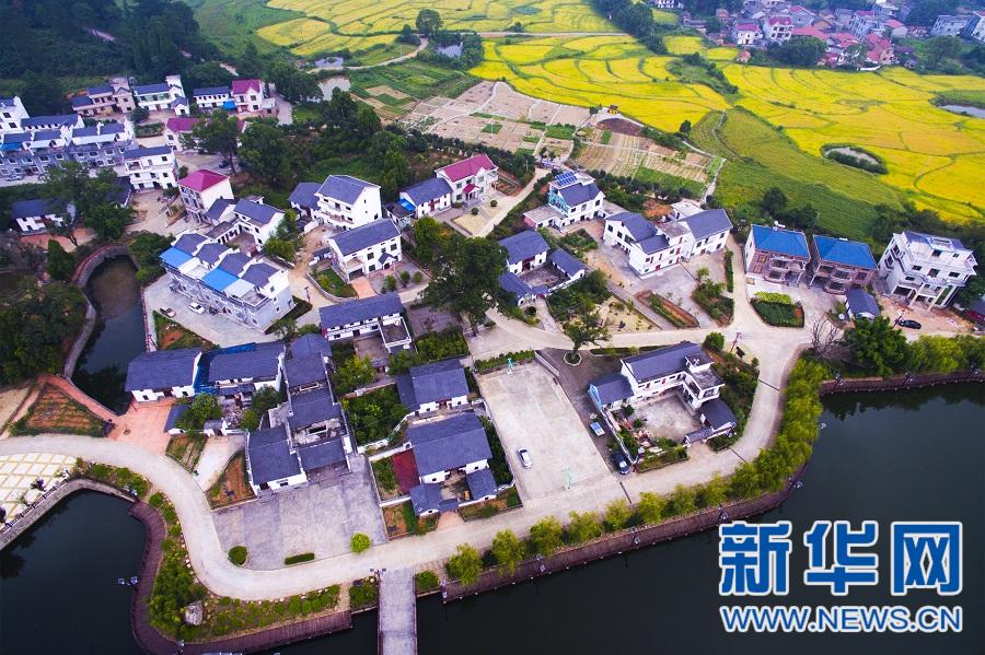 åæ°ä1æä¸1鿢| èaæä¸-å½åæ°ç»ä1ä1¡aaæ±è¥¿ä¸å®ç°åç»æ