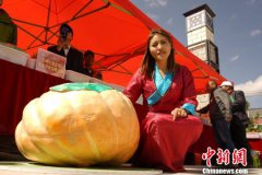 <b>西藏白朗县变成“百果园” 果蔬多达136种</b>