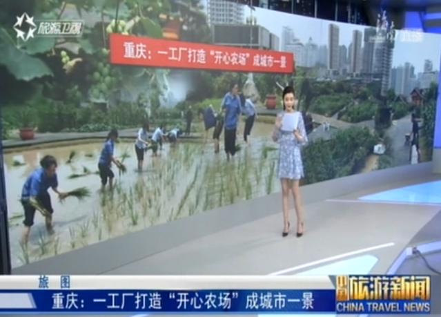 <b>重庆：一工厂打造“开心农场”成城市一景</b>