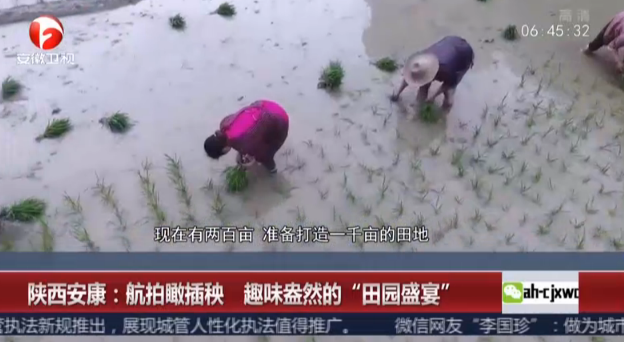 <b>陕西安康：航拍瞰插秧  趣味盎然的“田园盛宴”</b>