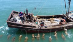 <b>河北乐亭：生态养殖助民致富</b>