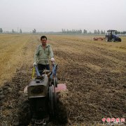 <b>安徽：怀远县兰桥乡万亩早茬安种完毕</b>