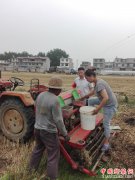 <b>安徽：阜阳颍东区枣庄镇推进抢种夏播作物</b>