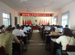 <b>陕西莲花寺镇：召开上半年支部书记述职大会</b>