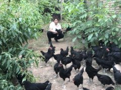 <b>立足绿色生态农业 品味疆南打造系列喀什特色产品</b>