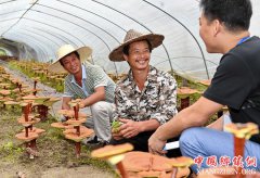 <b>脱贫攻坚防虚假 精准监督动真格</b>