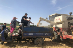 <b>陕西华州区莲花寺镇：支部带好头  扶贫在行动</b>