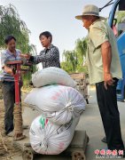<b>山东郯城：粮贩抢占市场“鲜机”</b>