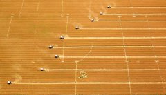 <b>河北小麦开始大规模机收</b>