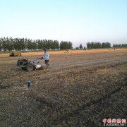 <b>安徽：怀远县兰桥乡六万亩麦茬直播稻安种完毕</b>