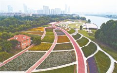 <b>南京滨江公园十几种花卉竞相开放 宛如调色盘</b>