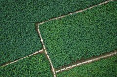 <b>美丽乡村游</b>