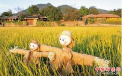 <b>农业农村部：力争2020乡村旅游营业收入超万亿</b>