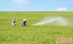 <b>农业部：“六字诀”推动农药管理条例施行</b>