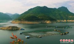 <b>2020年广元渔业总产值将达20亿元</b>