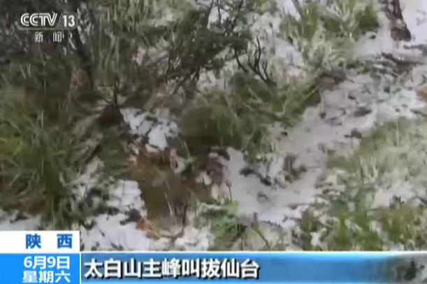 陕西：太白山飘雪  风景如画