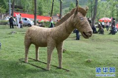 <b>青海湟中：创意稻草人“托起”包勒村扶贫梦</b>