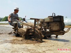 <b>山东郯城：“争分夺秒”插秧忙  采莲湖片“稻米香”</b>