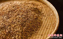 <b>广西壮族自治区全面落实粮食安全省长责任制</b>