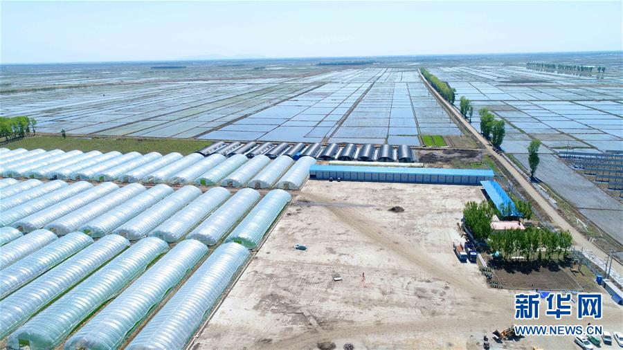 (新华全媒头条·图文互动)(7)唱响新时代的乌苏里船歌——通往振兴之路的黑龙江边境特色乡村建设纪实