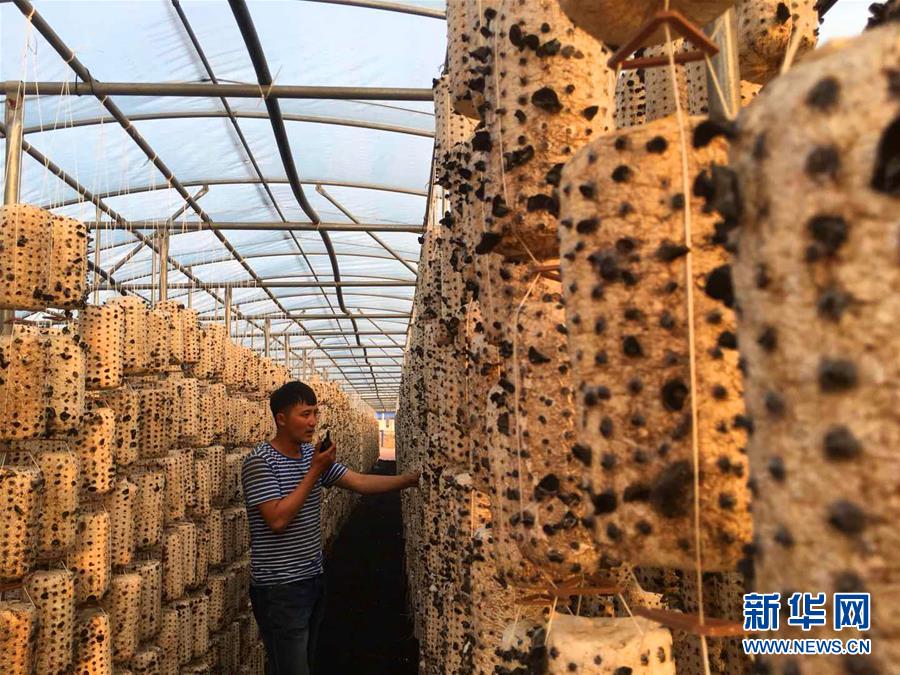 (新华全媒头条·图文互动)(6)唱响新时代的乌苏里船歌——通往振兴之路的黑龙江边境特色乡村建设纪实