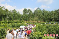 <b>思南县2018年村干部脱贫攻坚专题培训班走进板桥镇</b>