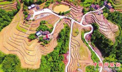 <b>石柱：闲置地变身生态农业园</b>