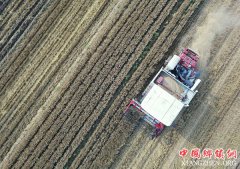 <b>随收随播忙“三夏”</b>