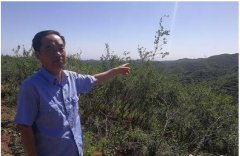 <b>山西千年古县的“连翘经”：绿化荒山 增收脱贫</b>