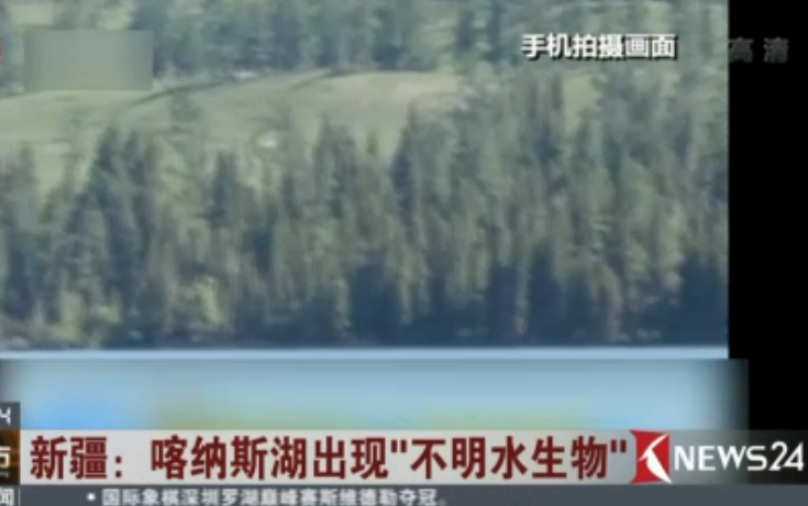 新疆：喀纳斯湖出现“不明水生物”
