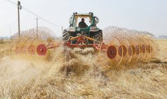 <b>2017年全国秸秆综合利用率超82%</b>