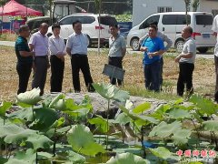 <b>安徽：谯城区政协调研民族村经济发展</b>