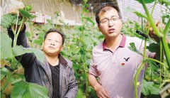 <b>王生兵：带领“后进村”踏上致富路</b>