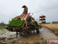 <b>山东郯城：人机“合力”齐上阵 降服旱魔发“神威 ”</b>