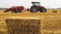 <b>小麦丰收 秸秆变宝</b>