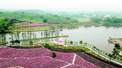 <b>武汉胜天村：山水民俗融乡愁</b>
