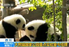 <b>四川：首个大熊猫国家公园重点实验室挂牌成立</b>