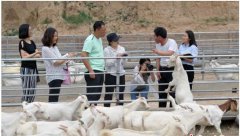 <b>河北阳原县贫困村探访：“组合拳”确保稳脱贫</b>