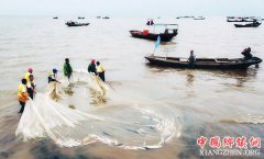 <b>我国最大淡水湖鄱阳湖春季禁渔期结束</b>